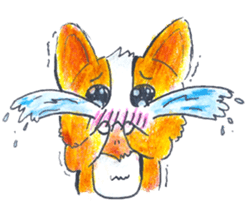 I'm Corgi Teemo sticker #2372883