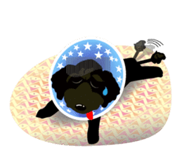 KOH's every day & My friend MOKA The 2nd sticker #2373476