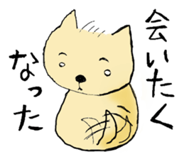 A boy like a dog, and a boy like a cat sticker #2374160