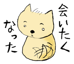 A boy like a dog, and a boy like a cat sticker #2374160