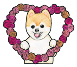 Heart-warming Pomeranian Sticker sticker #2377289