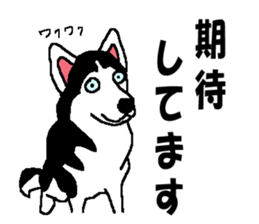 Talking Siberian husky GIN sticker #2380581