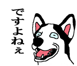 Talking Siberian husky GIN sticker #2380583