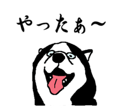 Talking Siberian Husky Gin By Zen Sticker
