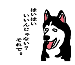 Talking Siberian husky GIN sticker #2380592
