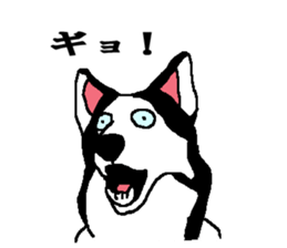 Talking Siberian husky GIN sticker #2380593