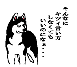 Talking Siberian husky GIN sticker #2380595