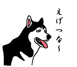 Talking Siberian husky GIN sticker #2380603