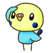 Coco the Parakeet sticker #2383394