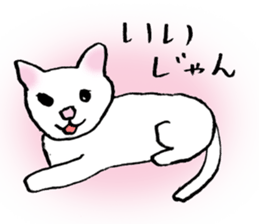 Sticker of a wild cat and a domestic cat sticker #2384217