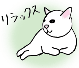 Sticker of a wild cat and a domestic cat sticker #2384219