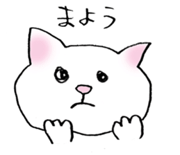 Sticker of a wild cat and a domestic cat sticker #2384240