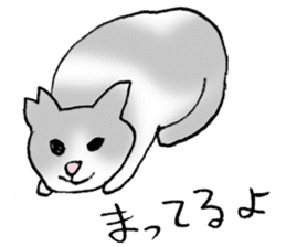 Sticker of a wild cat and a domestic cat sticker #2384251