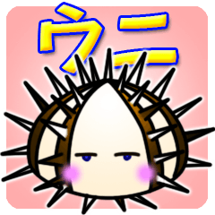 Cute Colorful Sea Urchins