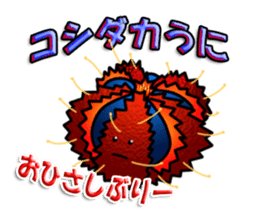 Cute Colorful Sea Urchins sticker #2385540