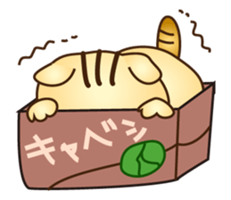pretty cat NYANPEI sticker #2386041