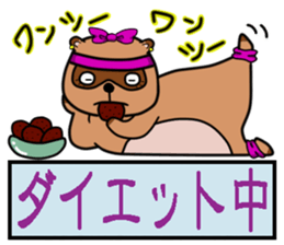 Two cute raccoon dogs sticker #2387141