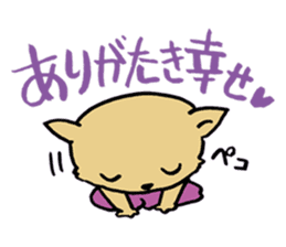 Sen cat sticker #2388295