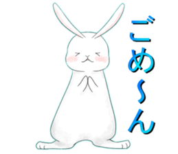 dailiy of the rabbit sticker #2390305