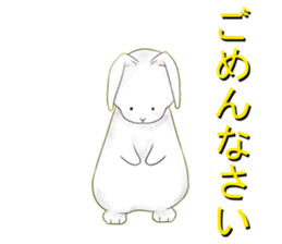 dailiy of the rabbit sticker #2390308