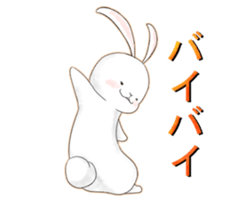 dailiy of the rabbit sticker #2390327