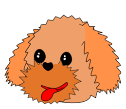 One year of the Toy Poodle sticker #2390907