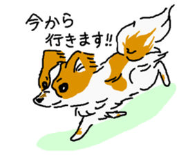 Pretty Papillon sticker #2395169