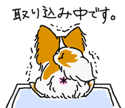 Pretty Papillon sticker #2395174