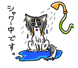 Pretty Papillon sticker #2395175