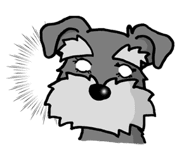 Schnauzer brings you happiness! sticker #2397419