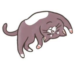 Buchaiku lovable sticker #2399570