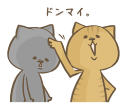 Cat Day3 sticker #2400547