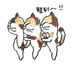 CATS CATS GETS2 sticker #2402210