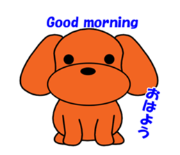 Tommy of the toy poodle sticker #2402456