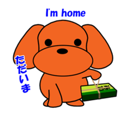 Tommy of the toy poodle sticker #2402460