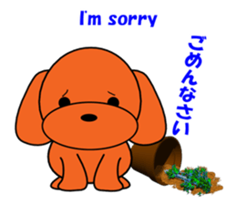 Tommy of the toy poodle sticker #2402462