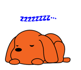 Tommy of the toy poodle sticker #2402470