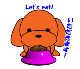 Tommy of the toy poodle sticker #2402483