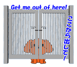 Tommy of the toy poodle sticker #2402487