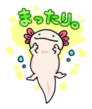 Oh My Axolotl! sticker #2402649