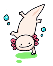 Oh My Axolotl! sticker #2402654