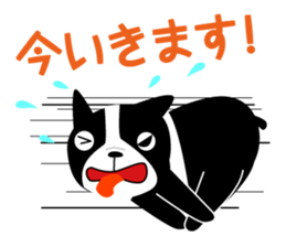 MY name is Manji sticker #2403082