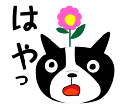 MY name is Manji sticker #2403083