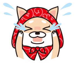 Shiba Inu to wear a hood sticker #2404500