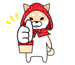 Shiba Inu to wear a hood sticker #2404511