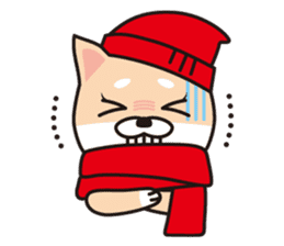 Shiba Inu to wear a hood sticker #2404530