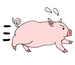 A pink pig and a black pig sticker #2405199