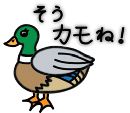 Maru's Animal Club sticker #2407682