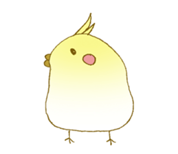 Chicken&True parrots sticker #2412300