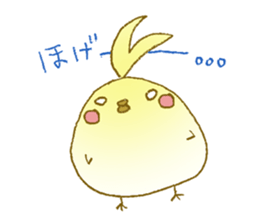 Chicken&True parrots sticker #2412320